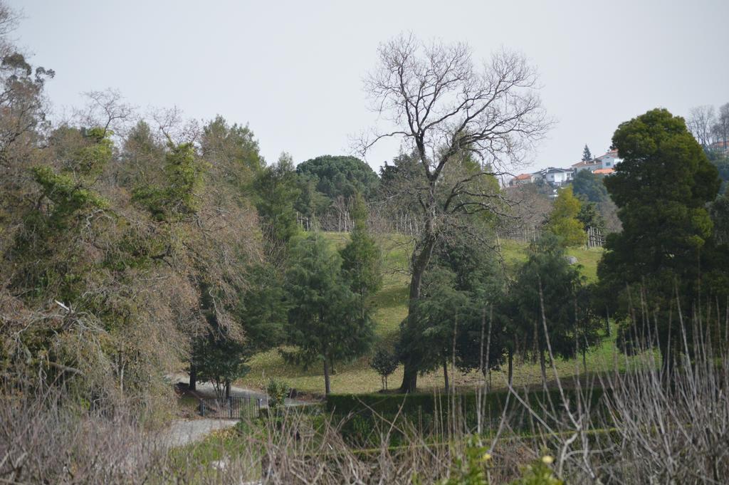 Casa Da Encosta - Quinta Da Costa Vandrehjem Vila Nova de Famalicão Eksteriør billede